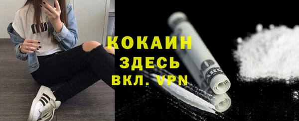 бошки Мегион