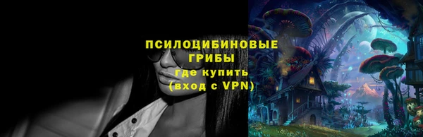 a pvp Медногорск