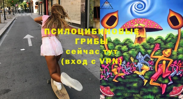 a pvp Медногорск