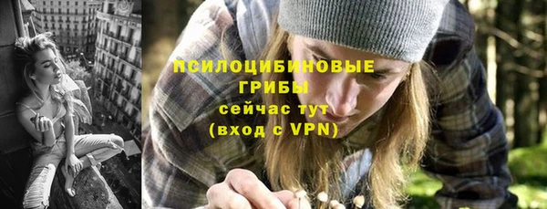 бошки Мегион