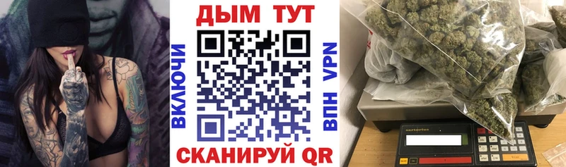 МАРИХУАНА гибрид Цоци-Юрт